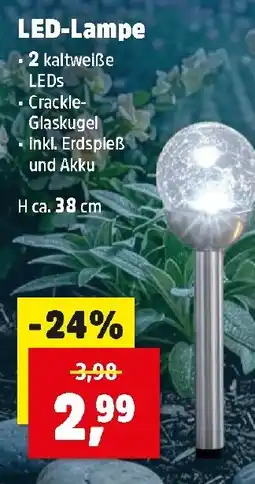 Thomas Philipps LED-Lampe Angebot