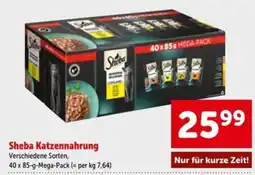 Interspar Sheba Katzenfutter Angebot