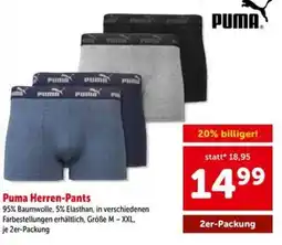 Interspar Puma Herren-Pants Angebot