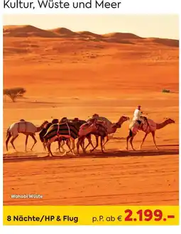 Billa Reisen Wahabi Wüste Angebot