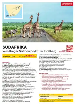 Billa Reisen SÜDAFRIKA Vom Kruger Nationalpark zum Tafelberg Angebot