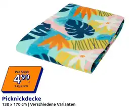 Action Picknickdecke Angebot