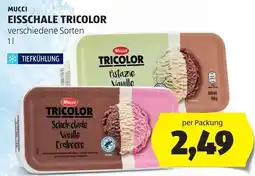 Hofer Mucci Eisschale Tricolor Angebot