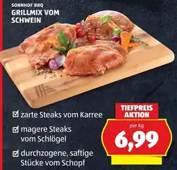 Hofer Sonnhof BBQ Grillmix vom Schwein Angebot