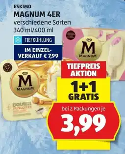 Hofer Magnum Angebot
