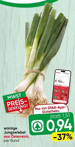 Spar würzige Jungzwiebel Angebot