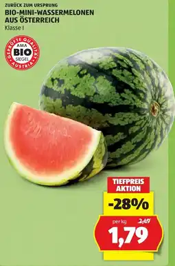 Hofer Bio-Mini-Wassermelonen Angebot