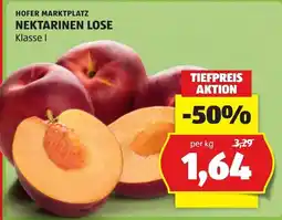Hofer Nektarinen Lose Angebot