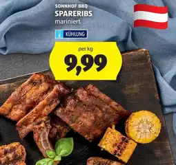 Hofer Sonnhof BBQ Spareribs Angebot
