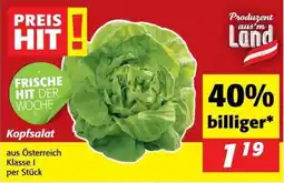 Nah&Frisch Kopfsalat Angebot