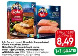Eurospar Iglo Dorsch Angebot