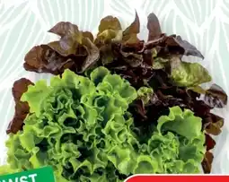 SPAR Gourmet Salat-Duett Angebot