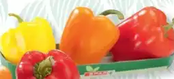 SPAR Gourmet Spar Paprika-Mix Angebot