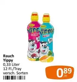 Kastner Rauch Yippy Angebot