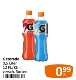 Kastner Gatorade Angebot