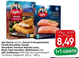 Eurospar iglo Dorsch, Dorsch in Knusperbrösel, Forelle Naturfilets, Zander Naturfilets Angebot