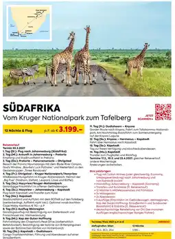 Billa Reisen SÜDAFRIKA Vom Kruger Nationalpark zum Tafelberg Angebot