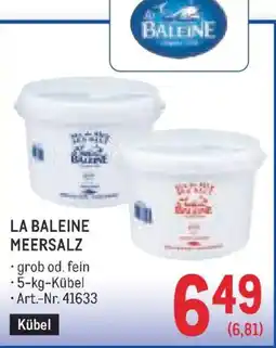 Metro La Baleine Meersalz Angebot