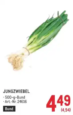 Metro Jungzwiebel Angebot