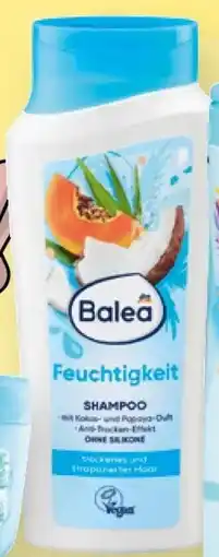 dm Balea Shampoo Angebot
