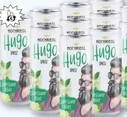 T&G Hochriegl Spritz Angebot