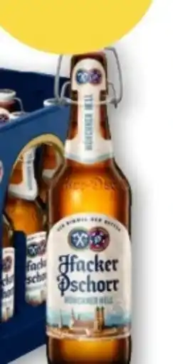 T&G Hacker Pschorr Münchner Hell Angebot