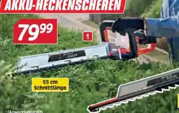 Zgonc Akku-Heckenscheren Angebot
