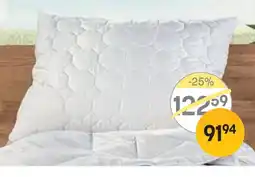 Reiter Kissen Angebot