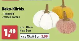 Thomas Philipps Deko-Kürbis Angebot