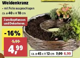 Thomas Philipps Weidenkranz Angebot