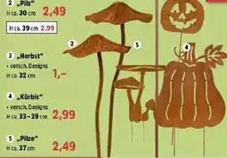 Thomas Philipps „Pilz“ Angebot