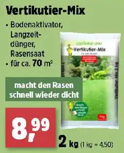 Thomas Philipps Vertikutier-Mix Angebot