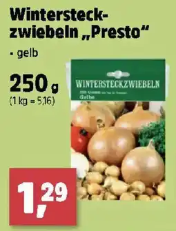 Thomas Philipps Wintersteckzwiebeln "Presto" - gelb Angebot