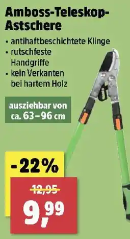 Thomas Philipps Amboss-Teleskop-Atschere Angebot