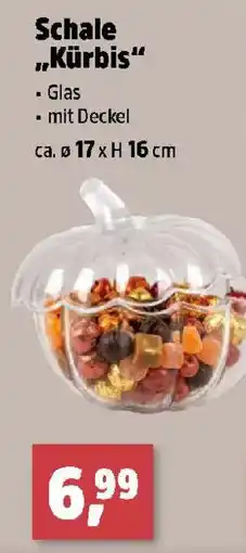 Thomas Philipps Schale „Kürbis“ Angebot