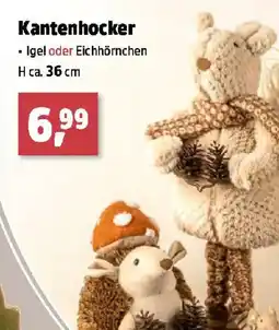 Thomas Philipps Kantenhocker Igel oder Eichhörnchen Angebot