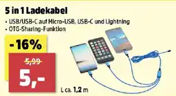 Thomas Philipps 5 in 1 Ladekabel Angebot