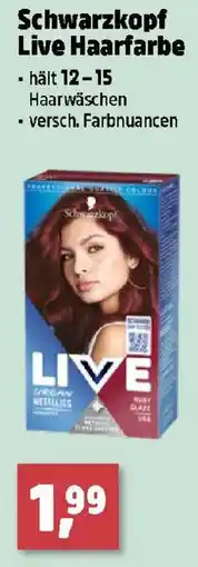 Thomas Philipps Schwarzkopf Live Haarfarbe Angebot