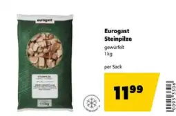 Eurogast Grissemann Eurogast Steinpilze Angebot
