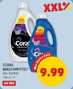 PENNY Coral waschmittel Angebot