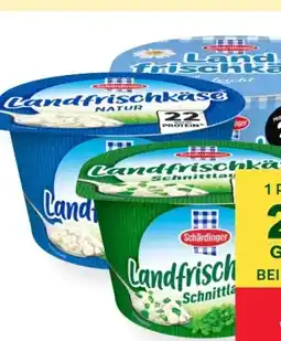 MPreis Schärdinger Landfrischkäse Angebot