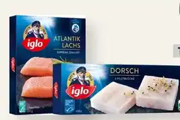 MPreis Iglo Premium Atlantik Lachs Angebot