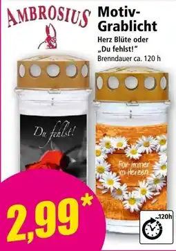 Norma Ambrosius Motiv-Grablicht Angebot