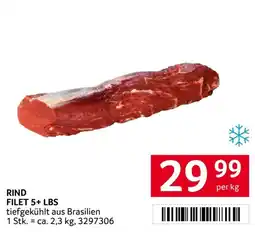 Transgourmet RIND FILET 5+ LBS Angebot