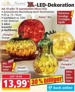 Norma i-glow by flower XL-LED-Dekoration Angebot