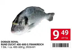 Transgourmet Dorade Royal Angebot