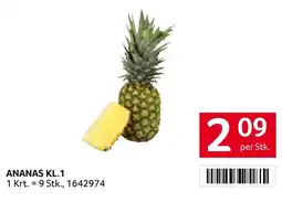 Transgourmet Ananas KL.1 Angebot