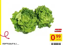 Transgourmet Häuptelsalat Angebot