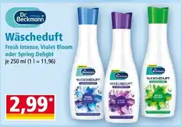 Norma Dr. Beckmann Wäscheduft Angebot