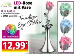 Norma LED-Rose mit Vase Angebot